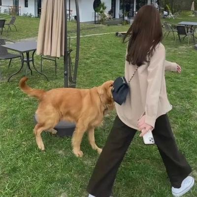 红白黑黄第一季